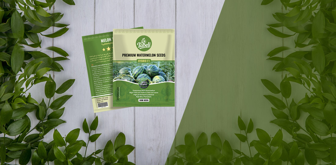 بذر هندوانه 