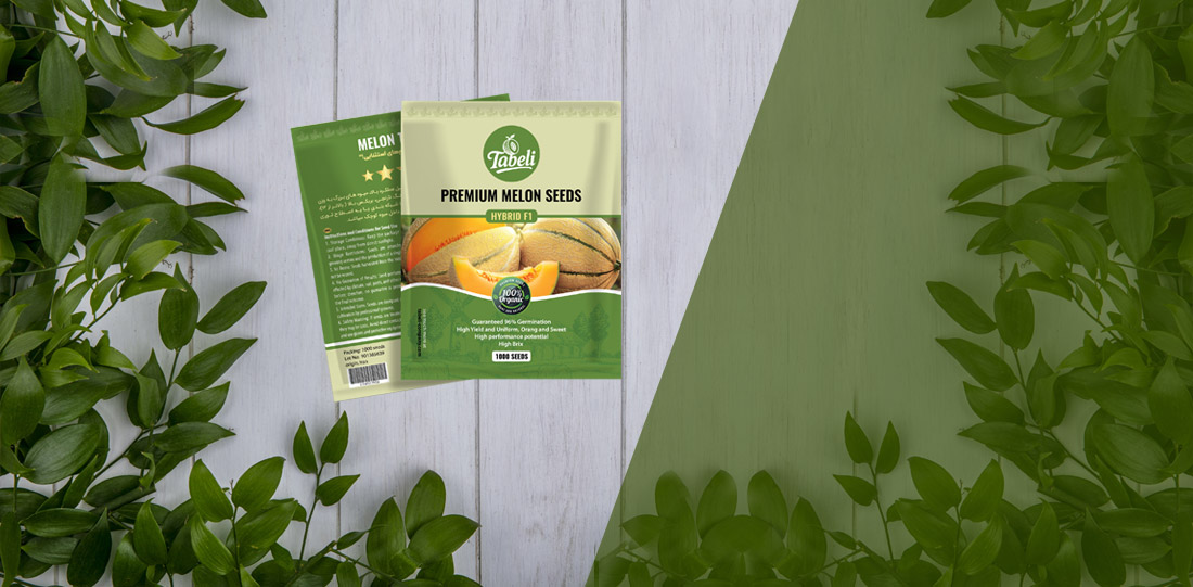 خربزه طالبی