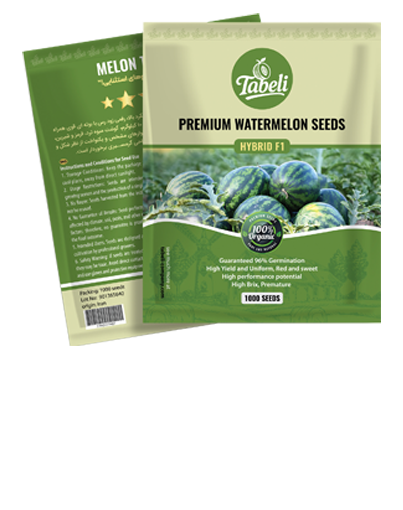 بذر هندوانه 