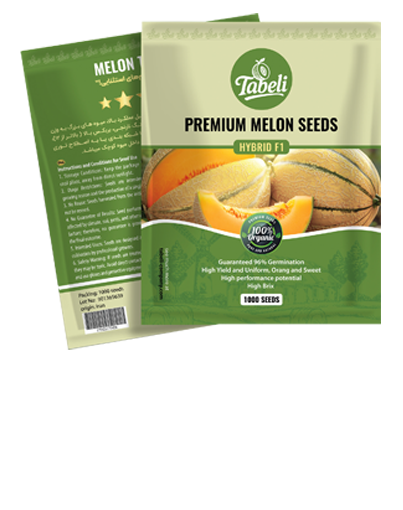 بذر خربزه طالبی