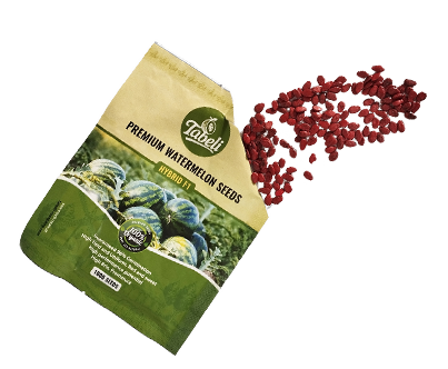 بذر هندوانه 